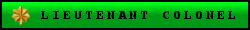 Lieutenant Colonel.png